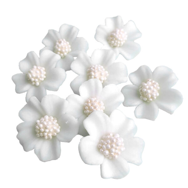 Weiß - Vergissmeinnicht 10tlg., Zuckerblumen